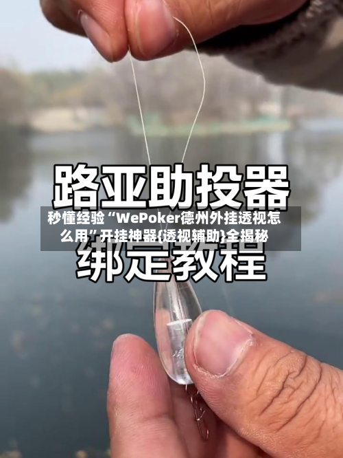 秒懂经验“WePoker德州外挂透视怎么用”开挂神器{透视辅助}全揭秘-第3张图片