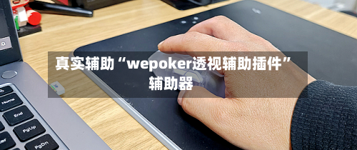真实辅助“wepoker透视辅助插件”辅助器-第1张图片