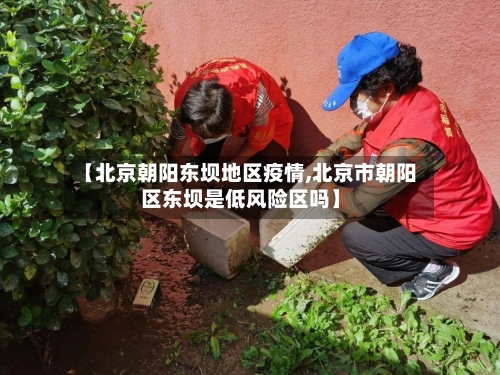 【北京朝阳东坝地区疫情,北京市朝阳区东坝是低风险区吗】-第2张图片