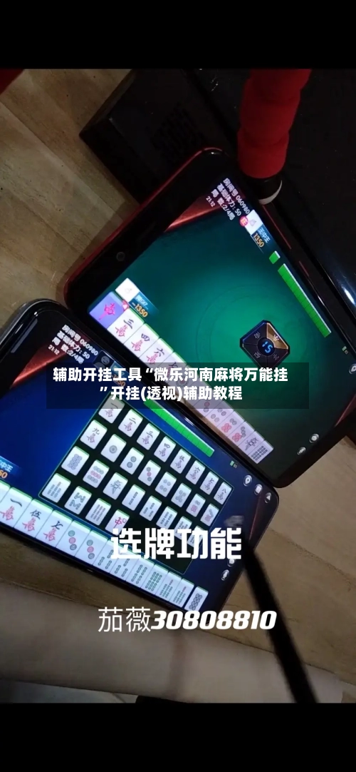 辅助开挂工具“微乐河南麻将万能挂”开挂(透视)辅助教程-第2张图片