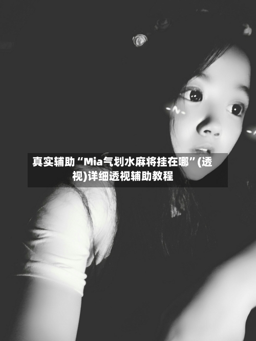 真实辅助“Mia气划水麻将挂在哪”(透视)详细透视辅助教程-第1张图片