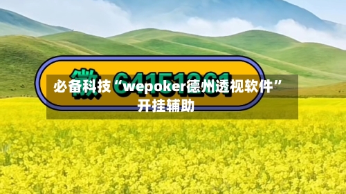 必备科技“wepoker德州透视软件”开挂辅助-第2张图片