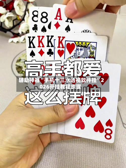 辅助神器“手机十三水透视软件挂”2026开挂教程步骤-第2张图片