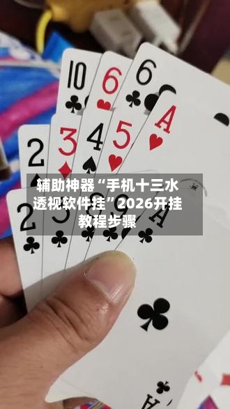 辅助神器“手机十三水透视软件挂”2026开挂教程步骤-第3张图片