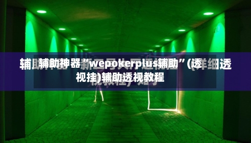 辅助神器“wepokerplus辅助	”(透视挂)辅助透视教程-第2张图片