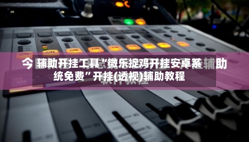 辅助开挂工具“微乐捉鸡开挂安卓系统免费	”开挂(透视)辅助教程-第2张图片