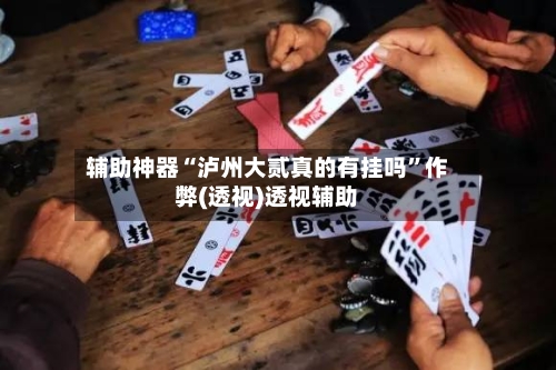 辅助神器“泸州大贰真的有挂吗”作弊(透视)透视辅助-第1张图片