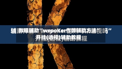 教程辅助“wepoKer作弊辅助方法”开挂(透视)辅助教程-第2张图片