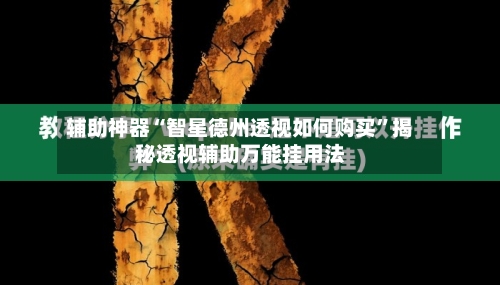 辅助神器“智星德州透视如何购买”揭秘透视辅助万能挂用法-第1张图片