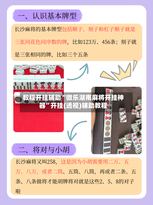 教程开挂辅助“微乐湖南麻将开挂神器	”开挂(透视)辅助教程-第2张图片