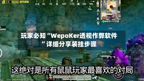 玩家必知“WepoKer透视作弊软件”详细分享装挂步骤-第2张图片