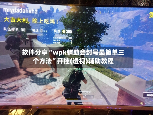 软件分享“wpk辅助会封号最简单三个方法”开挂(透视)辅助教程-第2张图片