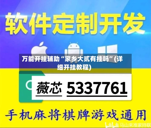 万能开挂辅助“家乡大贰有挂吗”(详细开挂教程)-第2张图片