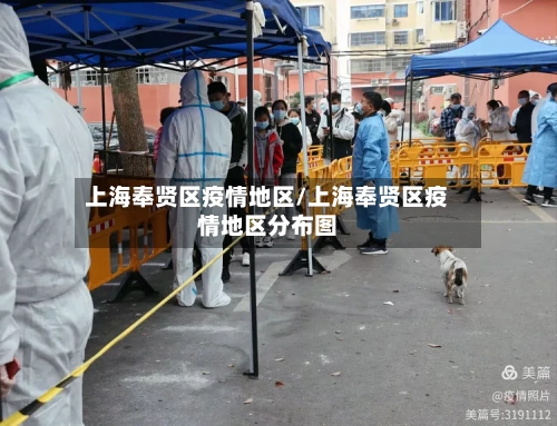 上海奉贤区疫情地区/上海奉贤区疫情地区分布图-第2张图片