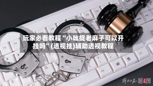 玩家必看教程“小吆捉老麻子可以开挂吗	”(透视挂)辅助透视教程-第1张图片