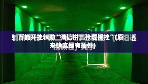 万能开挂辅助“微信拼三张透视挂”(原来确实是有插件)-第2张图片