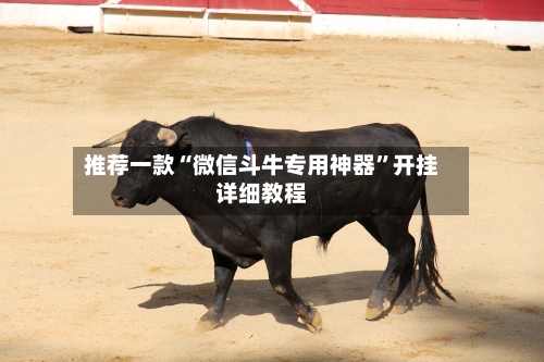 推荐一款“微信斗牛专用神器”开挂详细教程-第1张图片