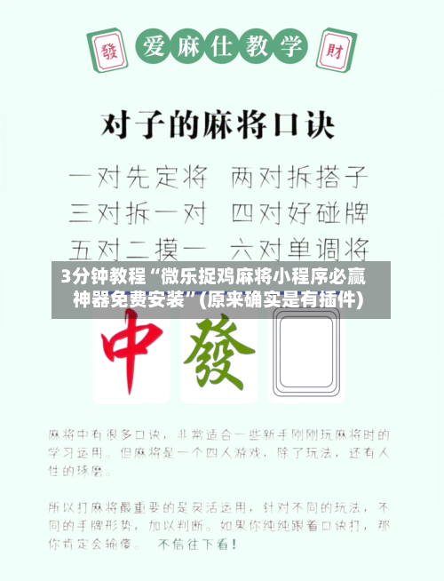 3分钟教程“微乐捉鸡麻将小程序必赢神器免费安装”(原来确实是有插件)-第2张图片