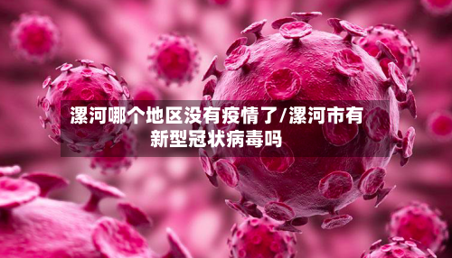 漯河哪个地区没有疫情了/漯河市有新型冠状病毒吗-第3张图片