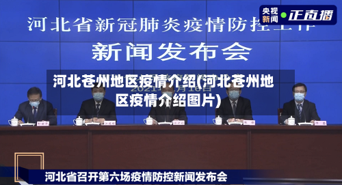 河北苍州地区疫情介绍(河北苍州地区疫情介绍图片)-第2张图片