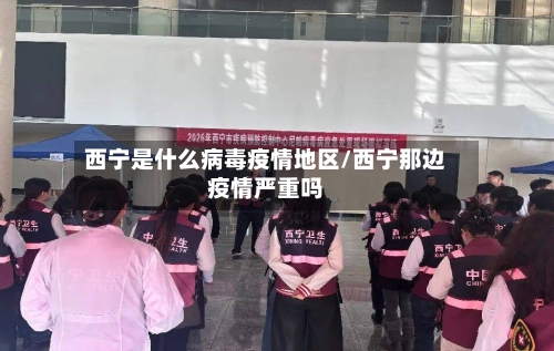 西宁是什么病毒疫情地区/西宁那边疫情严重吗-第1张图片