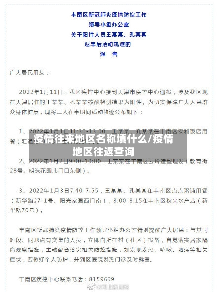 疫情往来地区名称填什么/疫情地区往返查询-第2张图片
