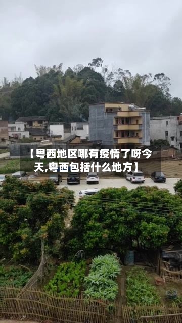 【粤西地区哪有疫情了呀今天,粤西包括什么地方】-第1张图片
