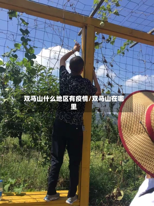 双马山什么地区有疫情/双马山在哪里-第2张图片
