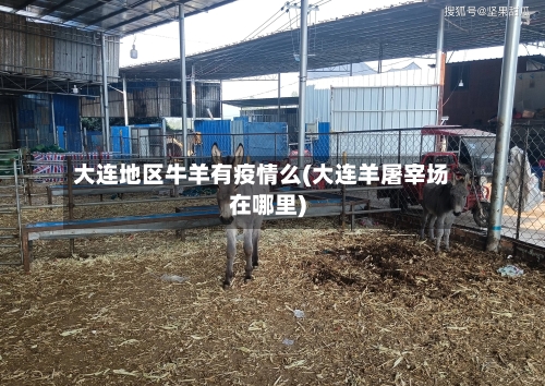 大连地区牛羊有疫情么(大连羊屠宰场在哪里)-第3张图片