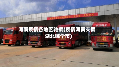 海南疫情各地区驰援(疫情海南支援湖北哪个市)-第1张图片