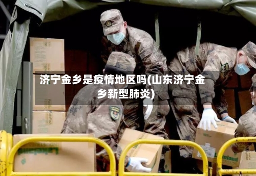 济宁金乡是疫情地区吗(山东济宁金乡新型肺炎)-第3张图片