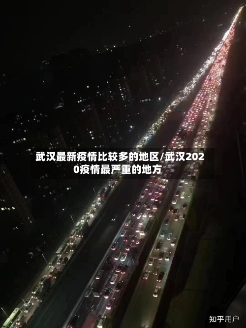 武汉最新疫情比较多的地区/武汉2020疫情最严重的地方-第2张图片