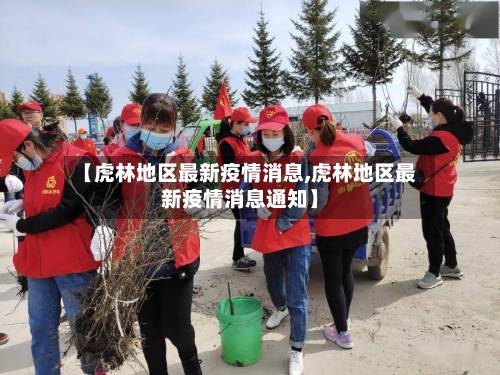 【虎林地区最新疫情消息,虎林地区最新疫情消息通知】-第1张图片