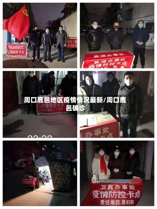 周口鹿邑地区疫情情况最新/周口鹿邑确诊-第3张图片