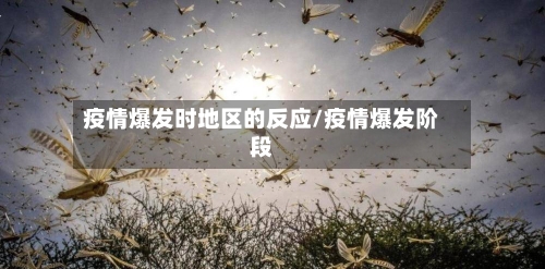 疫情爆发时地区的反应/疫情爆发阶段-第1张图片