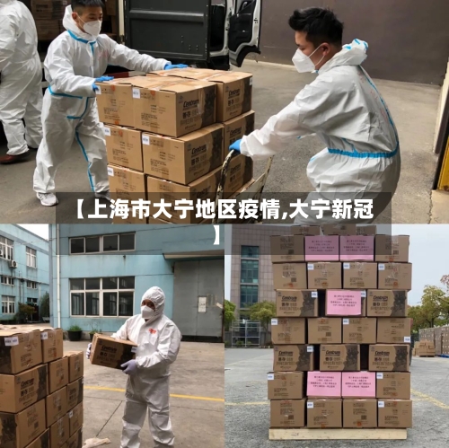 【上海市大宁地区疫情,大宁新冠】-第1张图片