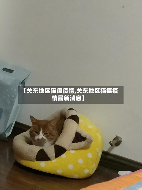 【关东地区猫瘟疫情,关东地区猫瘟疫情最新消息】-第1张图片