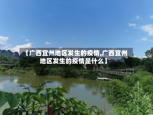【广西宜州地区发生的疫情,广西宜州地区发生的疫情是什么】-第3张图片
