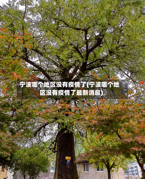 宁波哪个地区没有疫情了(宁波哪个地区没有疫情了最新消息)-第2张图片