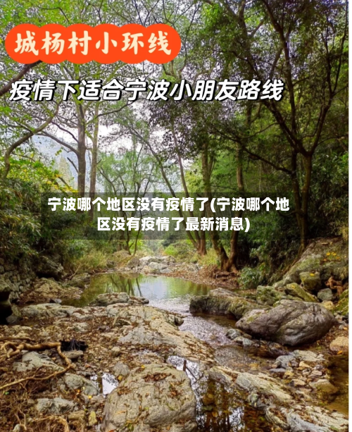 宁波哪个地区没有疫情了(宁波哪个地区没有疫情了最新消息)-第3张图片