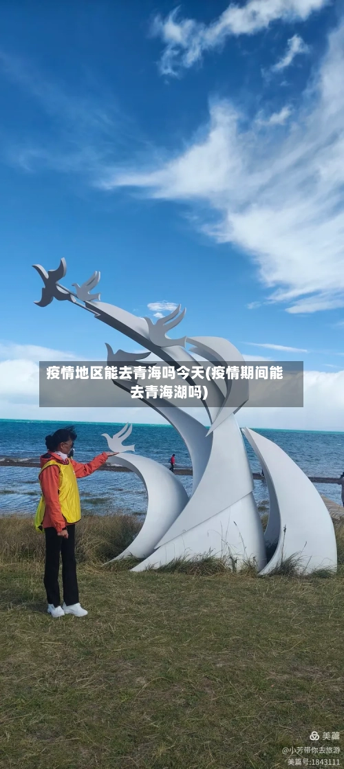 疫情地区能去青海吗今天(疫情期间能去青海湖吗)-第2张图片