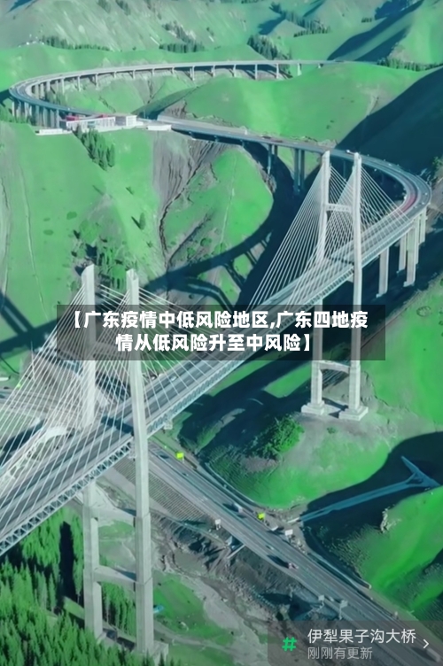 【广东疫情中低风险地区,广东四地疫情从低风险升至中风险】-第3张图片