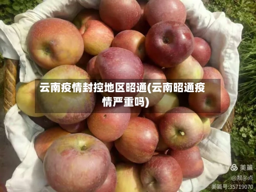 云南疫情封控地区昭通(云南昭通疫情严重吗)-第1张图片
