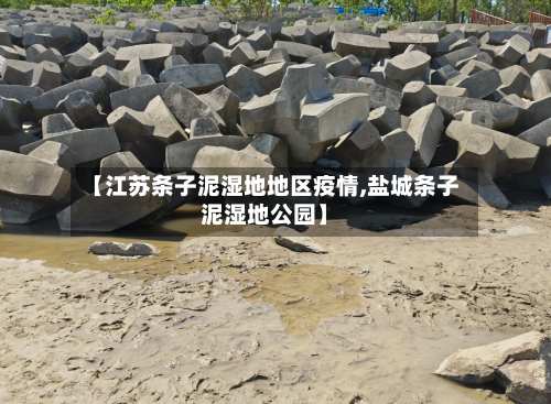 【江苏条子泥湿地地区疫情,盐城条子泥湿地公园】-第3张图片