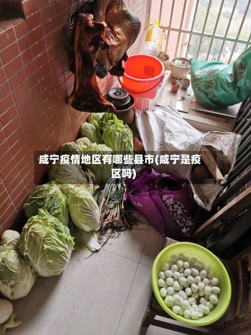 咸宁疫情地区有哪些县市(咸宁是疫区吗)-第1张图片