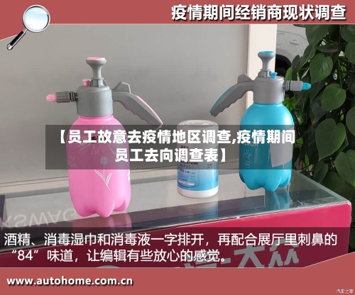 【员工故意去疫情地区调查,疫情期间员工去向调查表】-第2张图片