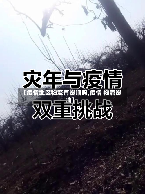 【疫情地区物流有影响吗,疫情 物流影响】-第1张图片