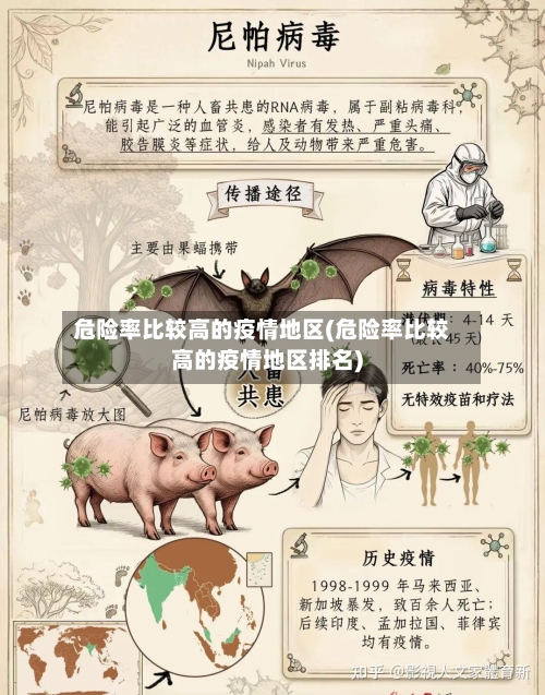 危险率比较高的疫情地区(危险率比较高的疫情地区排名)-第3张图片