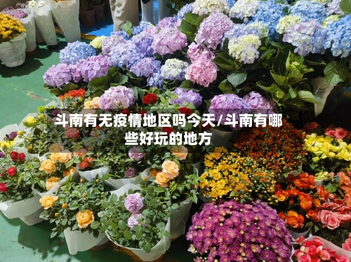 斗南有无疫情地区吗今天/斗南有哪些好玩的地方-第1张图片