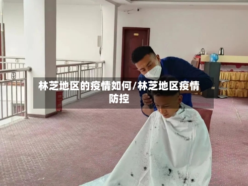 林芝地区的疫情如何/林芝地区疫情防控-第3张图片